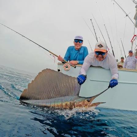 Sailfish release